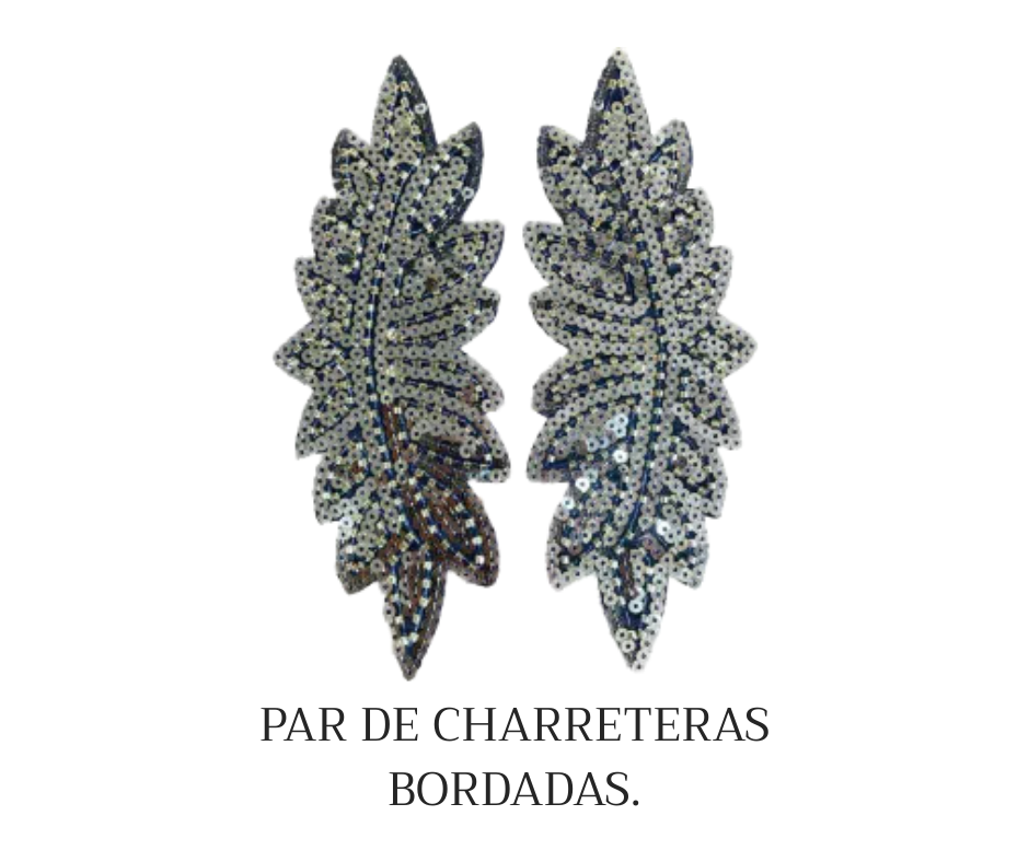 APLIQUE CHARRETERA BORDADA CON CANUTILLO - LA MERCERIE